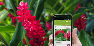 اپلیکیشن های طبیعت گردی