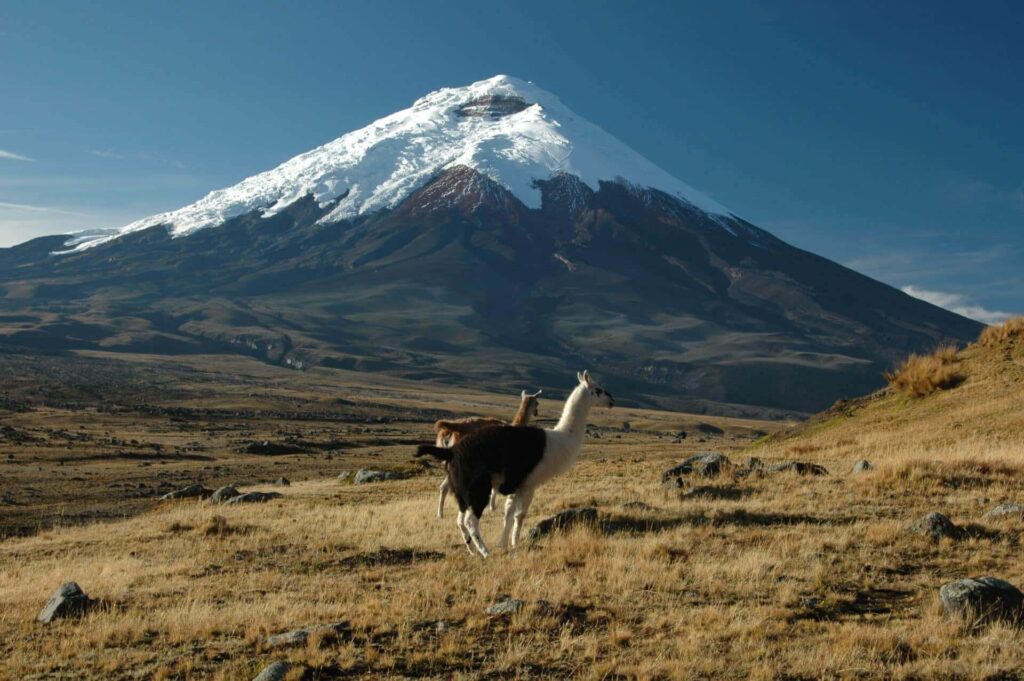کوه Cotopaxi در اکوادر