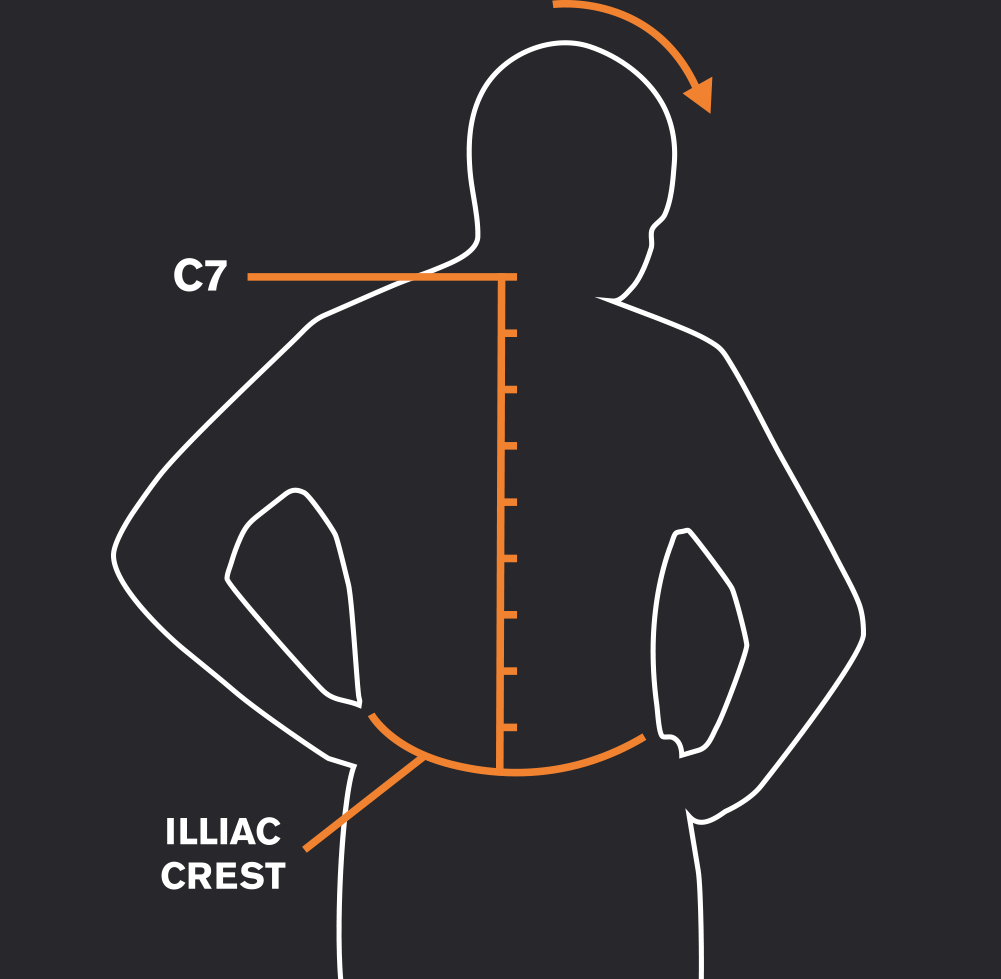 c7 illiac crest 5 - راهنمای انتخاب ارتفاع پشت و کمر کوله پشتی