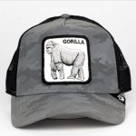 کلاه کپ گورین بروز مدل سیلور بک Goorin Bros Silver Back