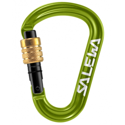 کارابین پیچ سالیوا مدل پروکارابینر Salewa HMS pro carabiner