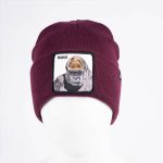 کلاه بافت گورین بروز_Goorin bros Apes Knit - Image 3