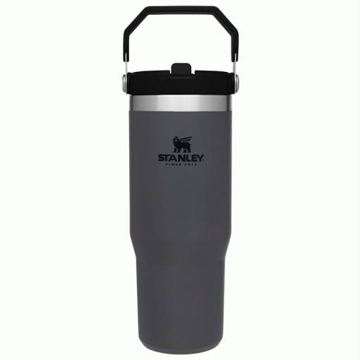 ماگ نی دار استنلی – Stanley Flip Straw tumbler 880 ml