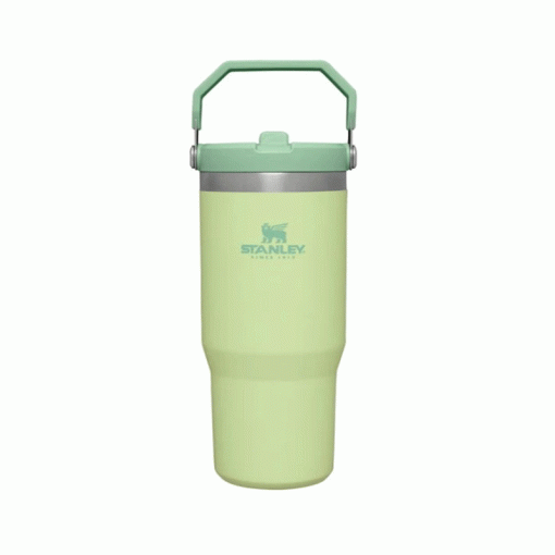 ماگ نی دار استنلی – Stanley Flip Straw tumbler 880 ml