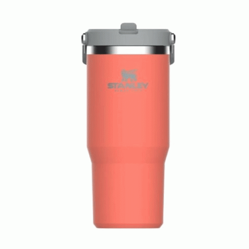 ماگ نی دار استنلی – Stanley Flip Straw tumbler 880 ml