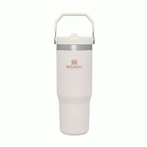 ماگ نی دار استنلی – Stanley Flip Straw tumbler 880 ml
