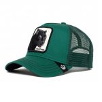 کلاه کپ گورین براز _ Goorin Bros The Panther Green