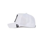 کلاه کپ گورین براز  _ Goorin Bros Platinum High