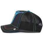 کلاه کپ گورین براز _ Goorin Bros Bbuzzzedd