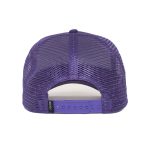 کلاه کپ گورین براز _ Goorin Bros The Lone Wolf Purple
