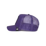 کلاه کپ گورین براز _ Goorin Bros The Lone Wolf Purple