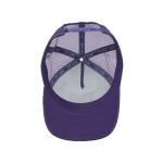 کلاه کپ گورین براز _ Goorin Bros The Lone Wolf Purple
