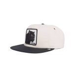 کلاه کپ گورین براز _ Goorin Bros Stealth Explorer