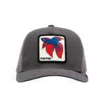 کلاه کپ گورین براز _ Goorin Bros Alpha Betta Truckin
