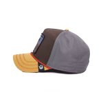 کلاه کپ گورین براز _ Goorin Bros Lone Wolf 100