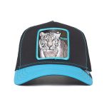کلاه کپ گورین براز _ Goorin Bros Blue Streak - Image 3