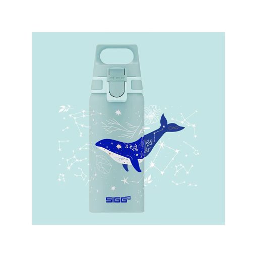 قمقمه سیگ مدل دایو – Sigg WMB ONE Dive 0.6 L