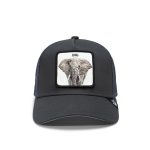 کلاه کپ گورین براز _ Goorin Bros The Big Elephant - Image 6
