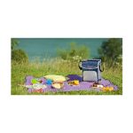 کیف عایق دار  campingaz Fold’N Cool 20L