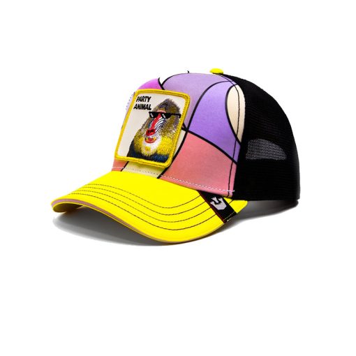 کلاه کپ گورین براز _ Goorin Bros Merriermaker