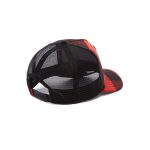 کلاه کپ گورین براز _ Goorin Bros Plaidy bug
