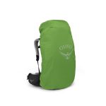 کوله پشتی کوهنوردی و طبیعتگردی آسپری مدل اتموس Osprey Atmos LT 65 L