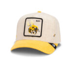 کلاه کپ گورین براز _ Goorin Bros Unbee-weavable