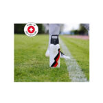 قمقمه سیگ مدل تیم Sigg WMB ONE DFB Team 1L - Image 3