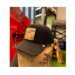 كلاه كپ گورين براز  _ Goorin Bros Teny Cloth Cat