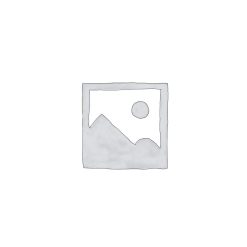 عینک آفتابی اوکلی – Oakley BXTR Prizm 9280
